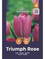 Tulpių svogūnėliai, lot. TULIPA TRIUMPH ROSE, 4 vnt