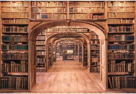 Xiaoterna 3 x 2,5 m vintažinė knygų spintos bibliotekos studijos fonas, kaimiškas medinės lentynos fonas, retro knygų lentynos fotografijos fonas mokytojui studentų studijų vaizdo įrašų fotografavimo rekvizitai