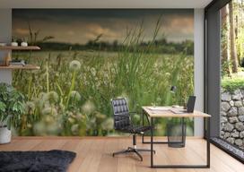 Rasch tapetai 363357 - fototapetai ant neaustinės medžiagos su pieva su pienėmis balta ir žalia spalvomis iš kolekcijos Magicwalls - 2,65 m x 3,71 m (i x P)