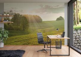 Rasch tapetai 363432 – fototapetai ant neaustinės medžiagos su pieva žalios spalvos iš kolekcijos Magicwalls – 2,65 m x 3,71 m (ilgis x plotis)