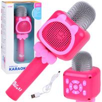 Vaikiškas mikrofonas Karaoke