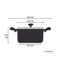 TEFAL Nordica Stainless Steel Casserole / Cooking Pot (24 cm, 4.8L / 5L).