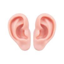 Soft Silicone Human Ear Model for Ear Wax Removal and Cleaning Training brown