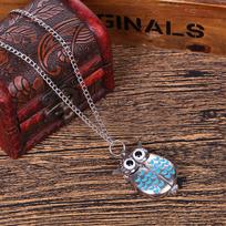 Retro Owl Pocket Watch Flip Cover, Vintage Quartz Unisex Pocket Watch for Men Women mėlyna