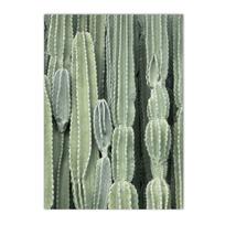 Sultingi augalai Kaktusas Drobės plakatas Žali lapai meno spaudiniai Kiaulpienė Sieninė tapyba Nordic plakatai Paveikslas Svetainės dekoras 30x45cm No Frame white