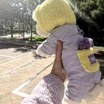Plush Traction Small Dog Clothes Autumn And Winter Pet Bichon Teddy Pomeranian Small Dog Four-legged Cotton Coat Winter XS back length 20cm (recommended 1-2 pounds) gray