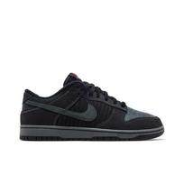 Nike Dunk Low Retro Premium 'Anthracite' (Unisex) Anthracite / Anthracite-Black-Iron Grey Skateboard Shoes IB7746 001 40.0 black