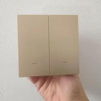 Alexa Voice-Controlled Tuya Zigbee Smart Panel: Double Gang Aluminum Zero Fire Switch auksas
