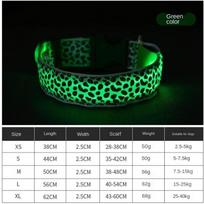 Naminių gyvūnėlių reikmenys šunų šviečiantis antkaklis LED šviesą skleidžiantis antkaklis Pet Leopard dėmėtas šuns antkaklis Fluorescencinės linijos L žalia