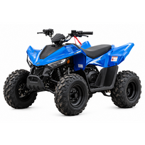 LINHAI ATV 110 vaikiškas keturratis