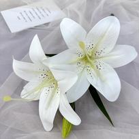 Ornamental Lily 3d Printed Fake Flowers For Celebration And Photography Props Champagne Pink white