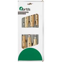 Atsuktuvų komplektas Fortis 4317784791267; 6 vnt.