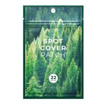 SKIN1004 Spot Cover Patch Pleistrai nuo spuogų, 22 vnt
