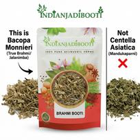 Indiški JadiBooti Brahmi Booti | Bacopa Monnieri (Jalanimba) Atminčiai, Koncentracijai ir Plaukų Augimui | Medhya Rasayana | Džiovinti Sveiki Žolynai | Natūralus A Klasė