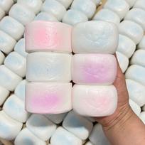 NEWSquishy Simulated Steamed Bun Squeeze Toy Stress Relief Slow Rising Sensory Fidget for Anxiety   Gift Kids Adults white