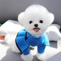Megztas drabužis augintiniui Teddy Bichon Pūdelio Kačiukui Katei Jorkšyro Maltos šuniuko Drabužiai XL back length 40 (recommended 11-18 pounds) gray