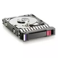 Hewlett Packard Enterprise 250GB 7.2k SATA 3.5 colio kietasis diskas (484429-001)