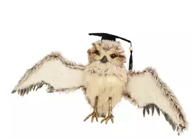 ROSA Nežinomas Kalėdinė dekoracija Decoris Owl 704628, 28 cm, ruda