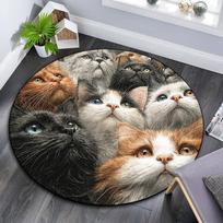 Curious Cat Round Area Rug,Carpet Rug for Living Room Bedroom Sofa Playroom Decor,Non-slip Floor Mat 80cmx80cm gray
