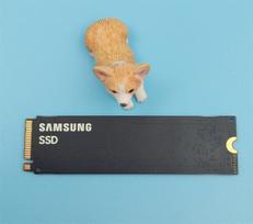 Dell PM9A1 1TB M.2 2280 PCIe 4.0 x4 NVMe SSD | 2DY5T | 5715063125380