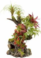 Terra Natura Augalų kompozicija terariumui 42 cm