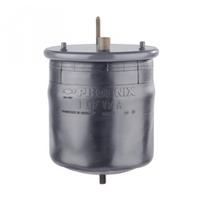 Pneumatinės pakabos pagalvė PHOENIX 1 DF 17 A-2