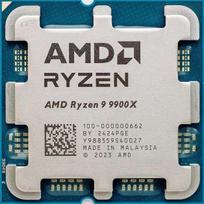 AMD Ryzen? 9 9900X (tray version)