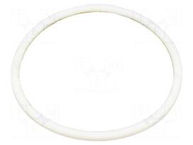 Gasket | PTFE | 2"