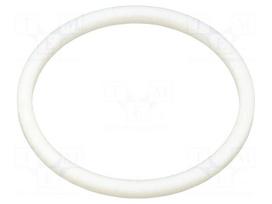 Gasket | PTFE | 1"