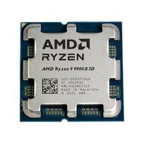 AMD Ryzen 9 9900X3D procesoriaus lustų plokštelė