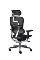 Biuro kėdė Ergohuman ELITE BS Black