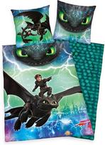 Herding Dreamworks Dragons patalynės užvalkalų komplektas