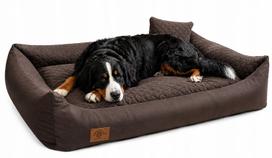 Šuns guolis sofa, 120 x 80 cm, su pagalve