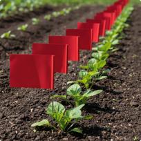 Survey Marking Flags with Stakes | Lightweight Flexible Construction, PVC Flag, Easy to oranžinė
