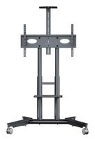 TV laikiklis TV SET ACC MOBILE STAND/32-75"/GRAPHITE TS1571-G ONKRON TS1571-G (4262392443391)