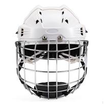 Full Face Hockey Helmet Safeguarding with Cage Padded for Ice Rink L black