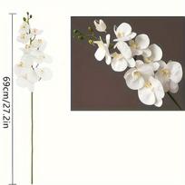 1 vnt. Retro baltosios orchidėjos dirbtinė drugelinė orchidėja, ilgas kotas, idealiai tinka namų ir virtuvės dekoravimui, stalo puošybai, drugelinių orchidėjų dekoravimui. balta