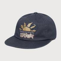 Artwork Graphic 6 PANEL Cap Navy CO2606CA32NA FREE gray