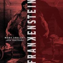 Frankenstein Collectors Special Edition by Mary Shelley Hardback Book 9781454951575