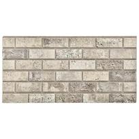 vidaXL Sienų plokštės 10 vnt. 100 x 50 cm Smėlio EPS putos