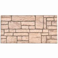 vidaXL Sienų plokštės 10 vnt. 100 x 50 cm Smėlio EPS putos