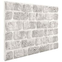 vidaXL Sienų plokštės 10 vnt. 100 x 50 cm Šviesiai pilka EPS putos