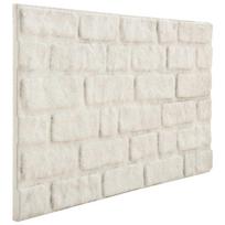 vidaXL Sienų plokštės 10 vnt. 100 x 50 cm Balta EPS putos