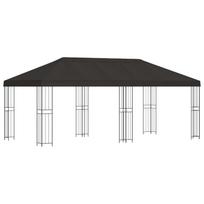 vidaXL Sodo Paviljonas 6 x 3 m Antracito Poliesteris ir plienas