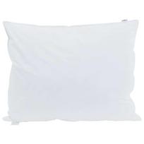 vidaXL Pagalvė 2 vnt. 70 x 90 cm Plunksna Balta
