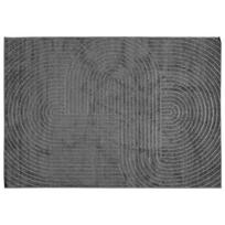 vidaXL Vidaus ir lauko kilimas PALMERAS Antracitas 160 x 230 cm