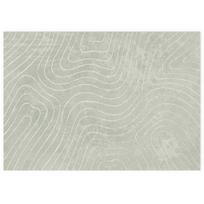 vidaXL Vidaus ir lauko kilimas PALMERAS Žalia 240 x 340 cm Poliesteris