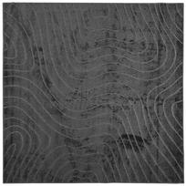 vidaXL Vidaus ir lauko kilimas PALMERAS Antracitas 240 x 240 cm