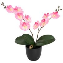 vidaXL Dirbtinė orchidėjų augalas Rožinė 36 x 10 x 30 cm