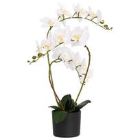 vidaXL Dirbtinė orchidėja su vazonu Balta 45 x 15 x 65 cm